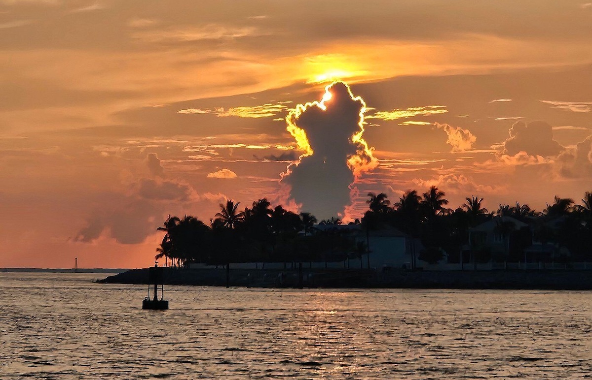 655017976_1544088084390689_1569462920518505058_n